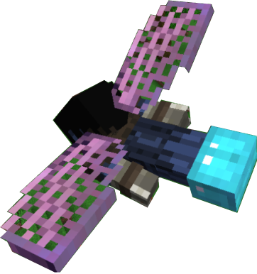 Elytra